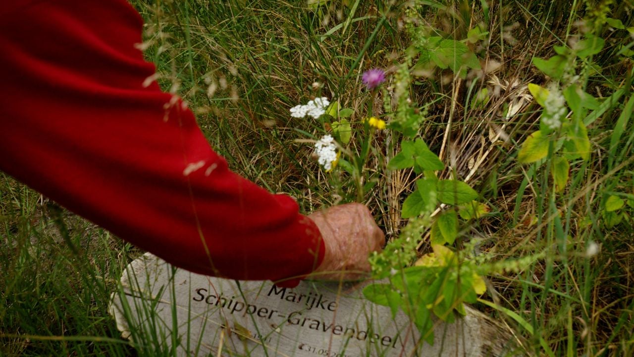 Wim Schipper bij het graf van zijn vrouw op de natuurbegraafplaats in Esbeek (foto: Vanessa Spaanderman).