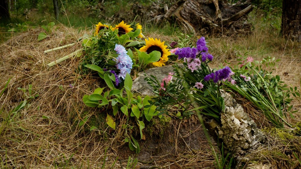 Een graf op de natuurbegraafplaats in Esbeek (foto: Vanessa Spaanderman).