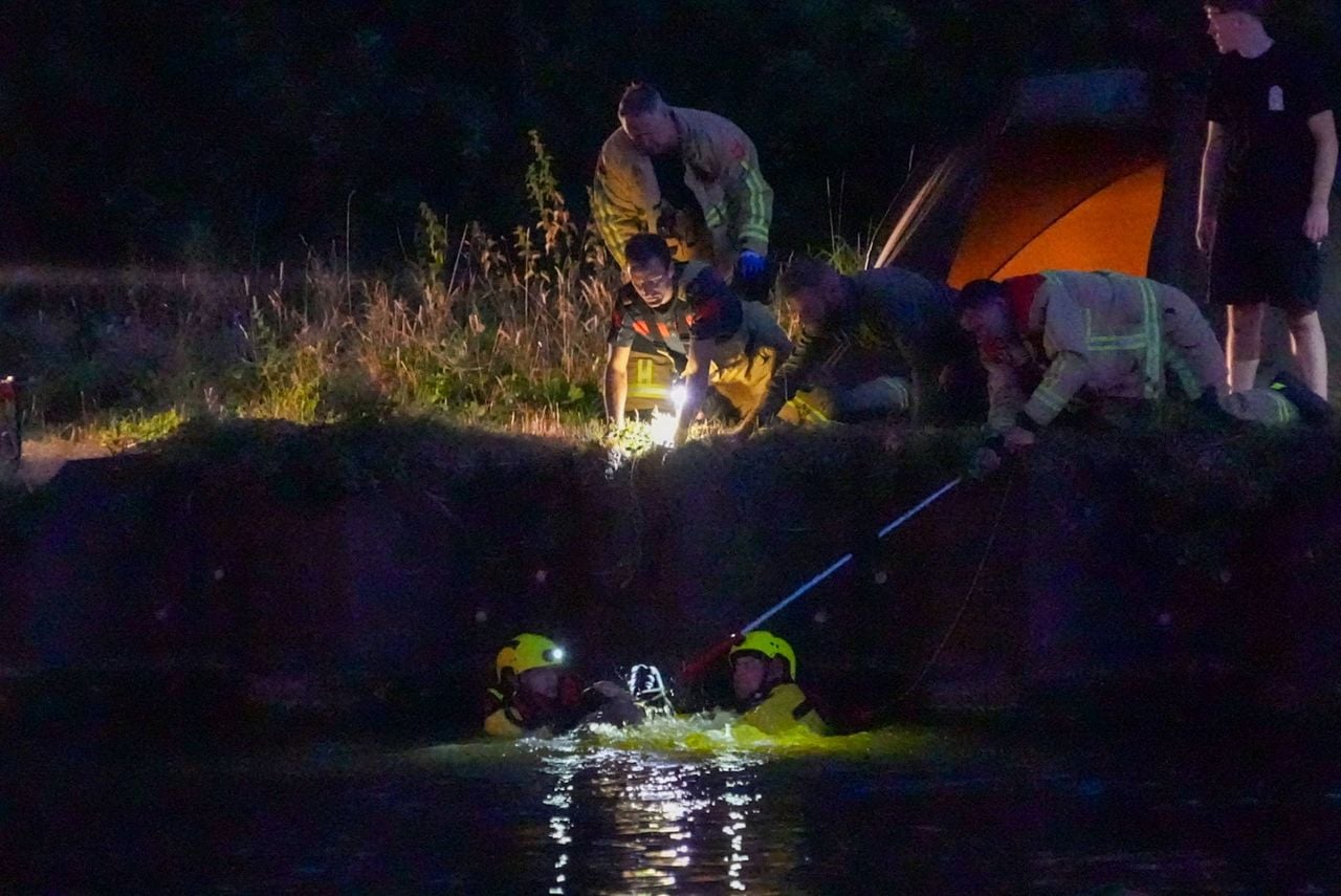 Het dier kwam naar brandweerlieden toe (foto: Harrie Grijseels / Persbureau Heitink).