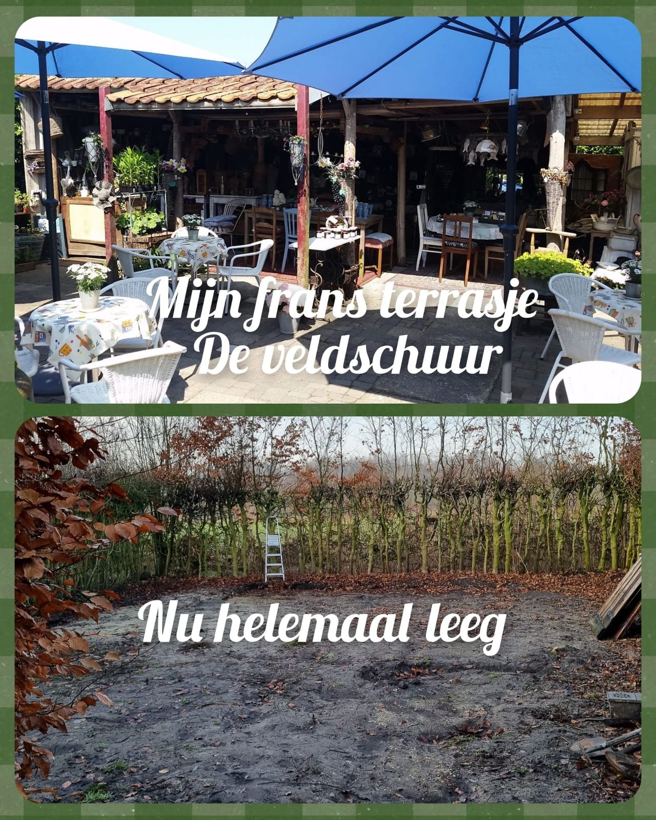 Een van de terrassen van Kop (foto: privécollectie)