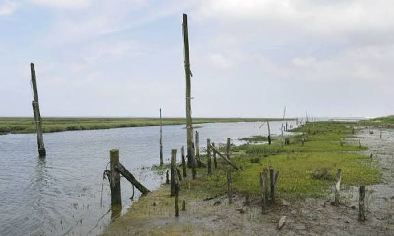 Het Verdonken Land van Zuid-Beveland (foto: Natuurmonumenten).