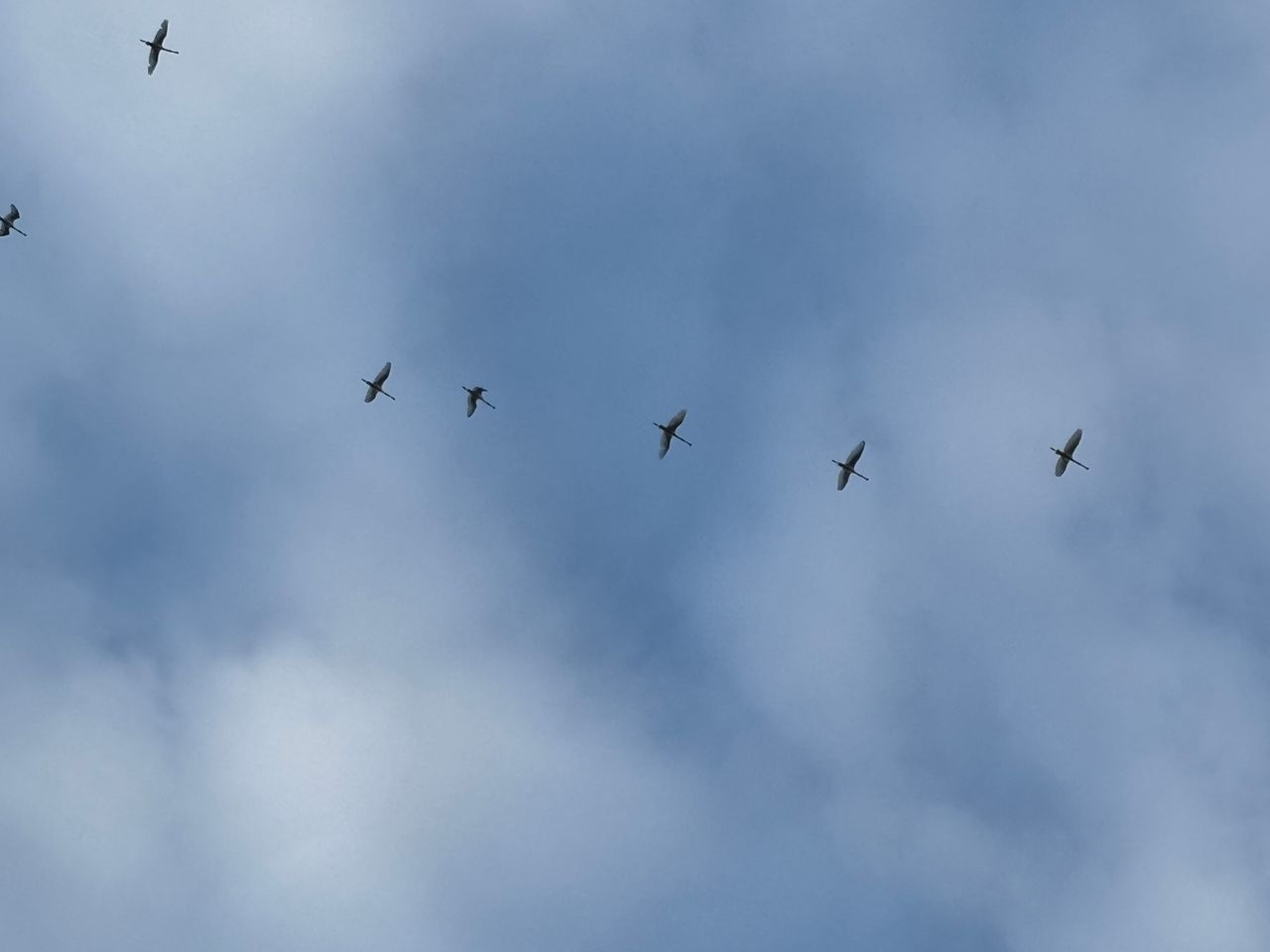 Foto: Marten Reinders.