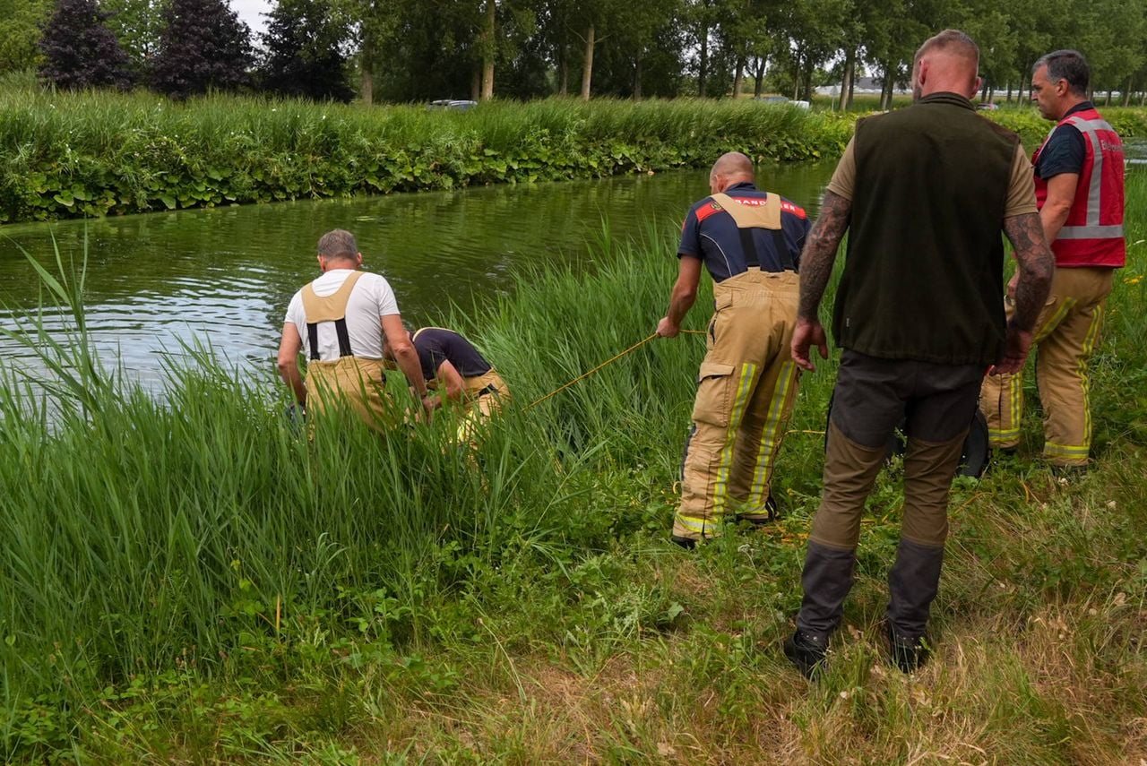 Foto: Harrie Grijseels / Persbureau Heitink.