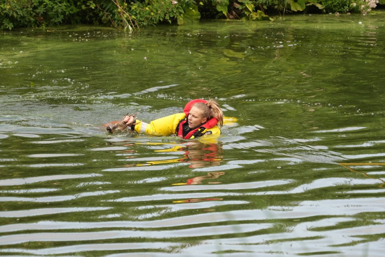 Foto: Harrie Grijseels / Persbureau Heitink.
