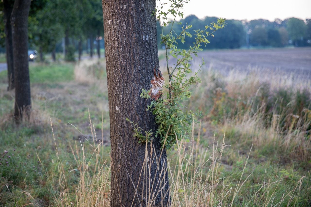 Foto: Christian Traets/Persbureau Heitink