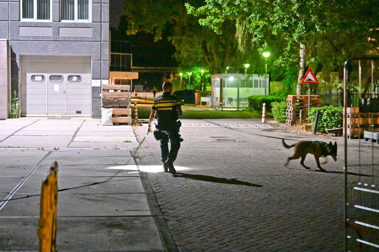 Foto: Rico Vogels/SQ Vision.