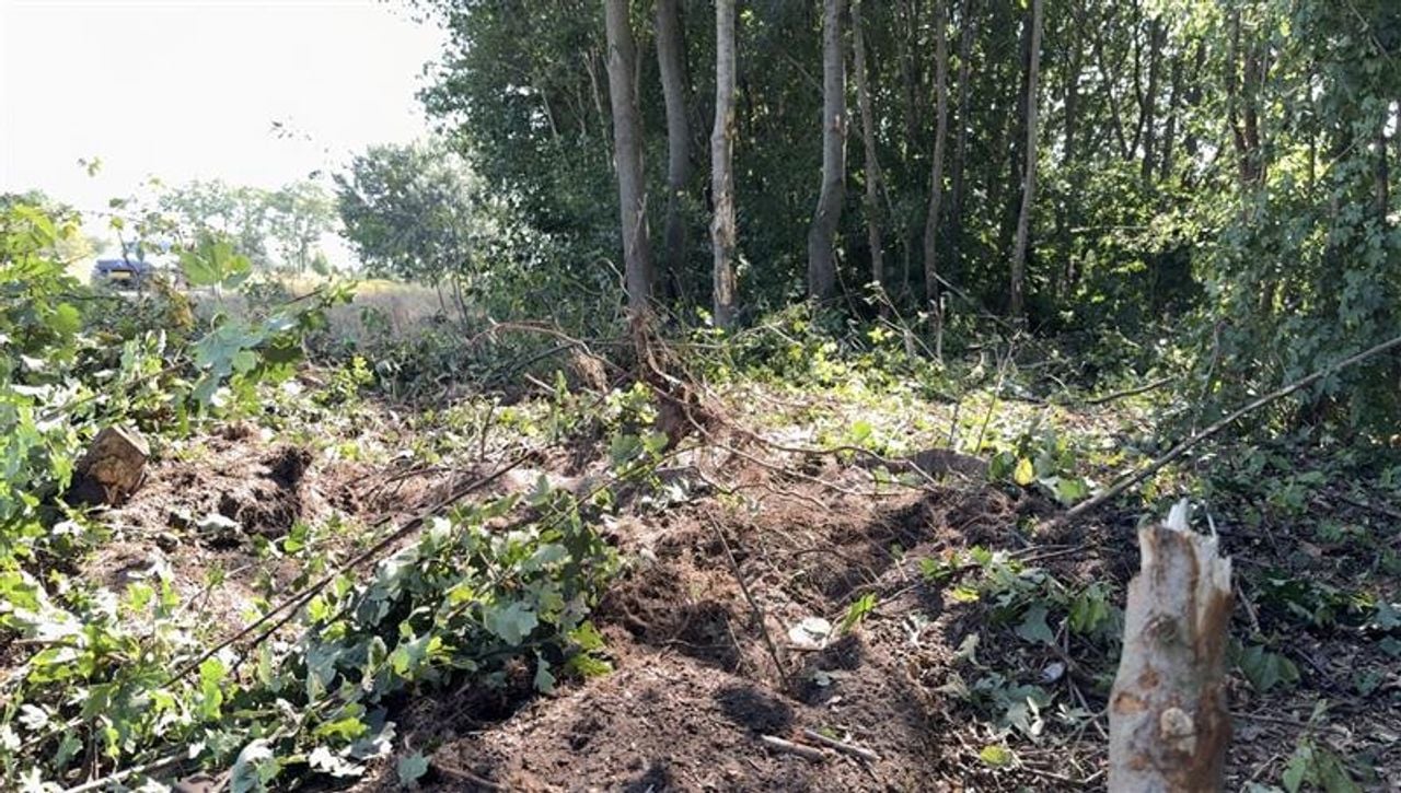 De gecrashte auto kwam tussen de bomen terecht (foto: Jan Peels).