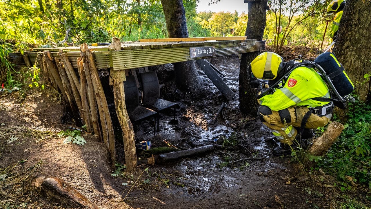 De brandweer kwam ter plaatse (foto: Lucas Lammers / Persbureau Heitink).