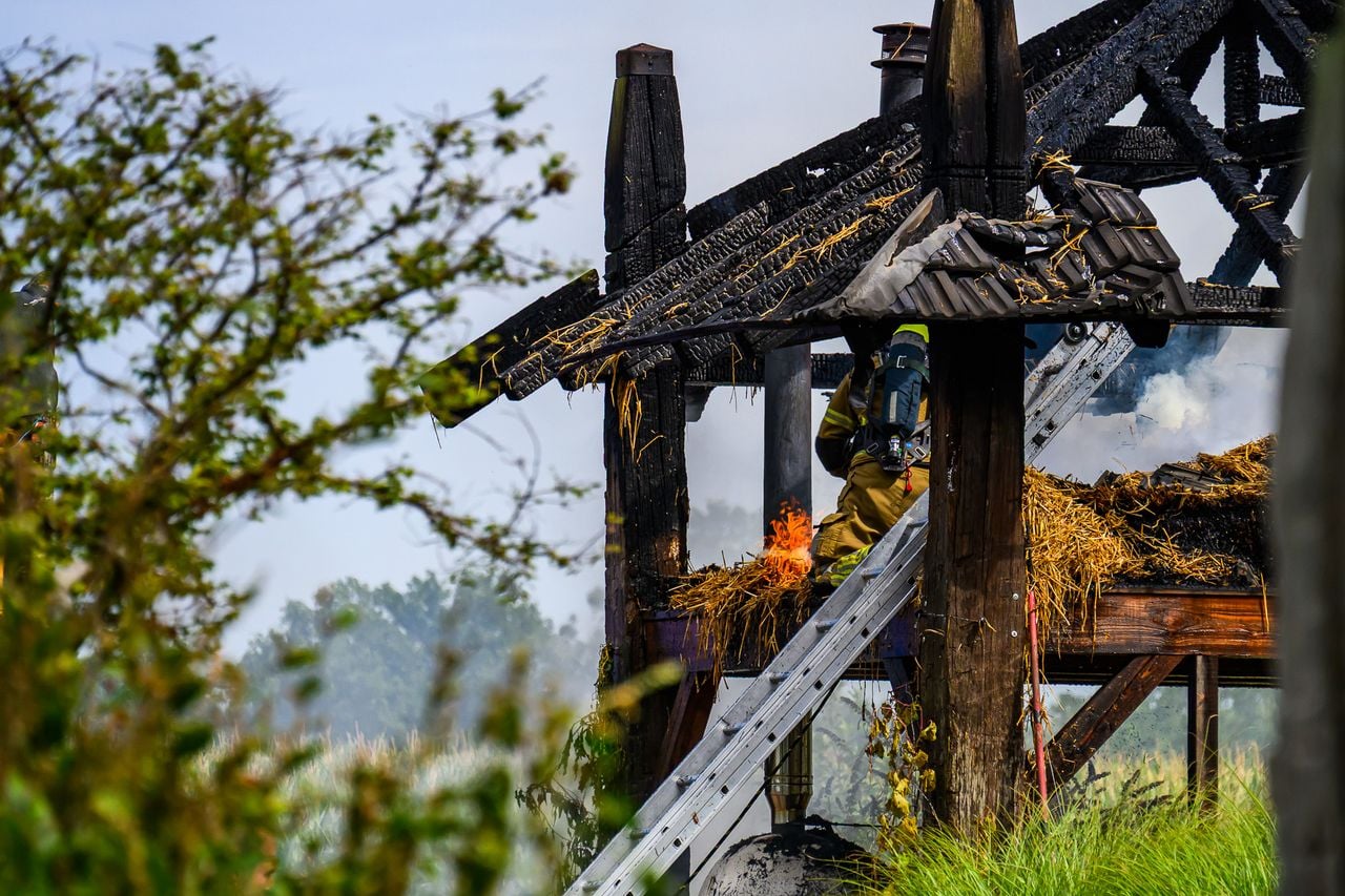 Het hooi moest uit elkaar getrokken worden (foto: Tom van der Put / Persbureau Heitink).
