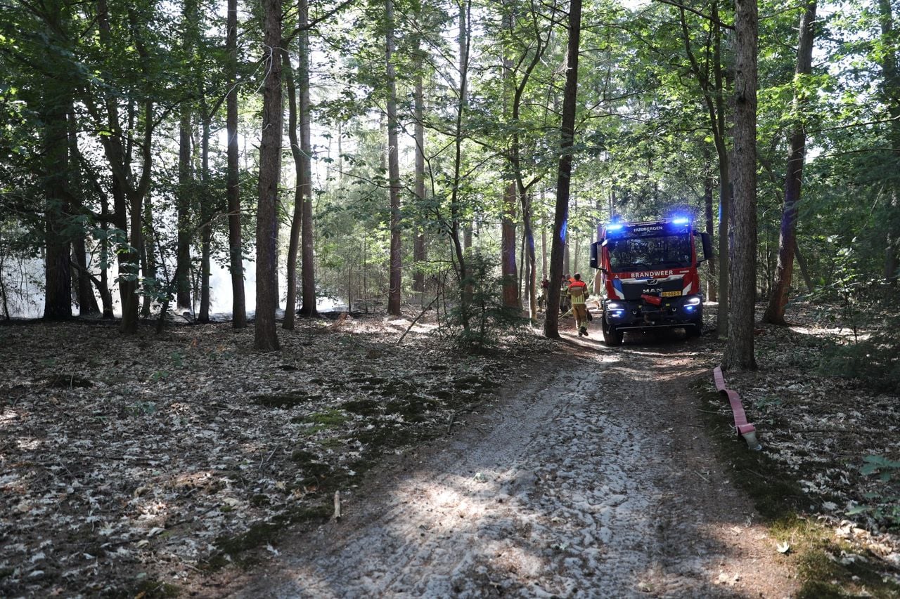 Een brand in een bos bij Bergen op Zoom was snel onder controle (foto: Christian Traets/Persbureau Heitink).