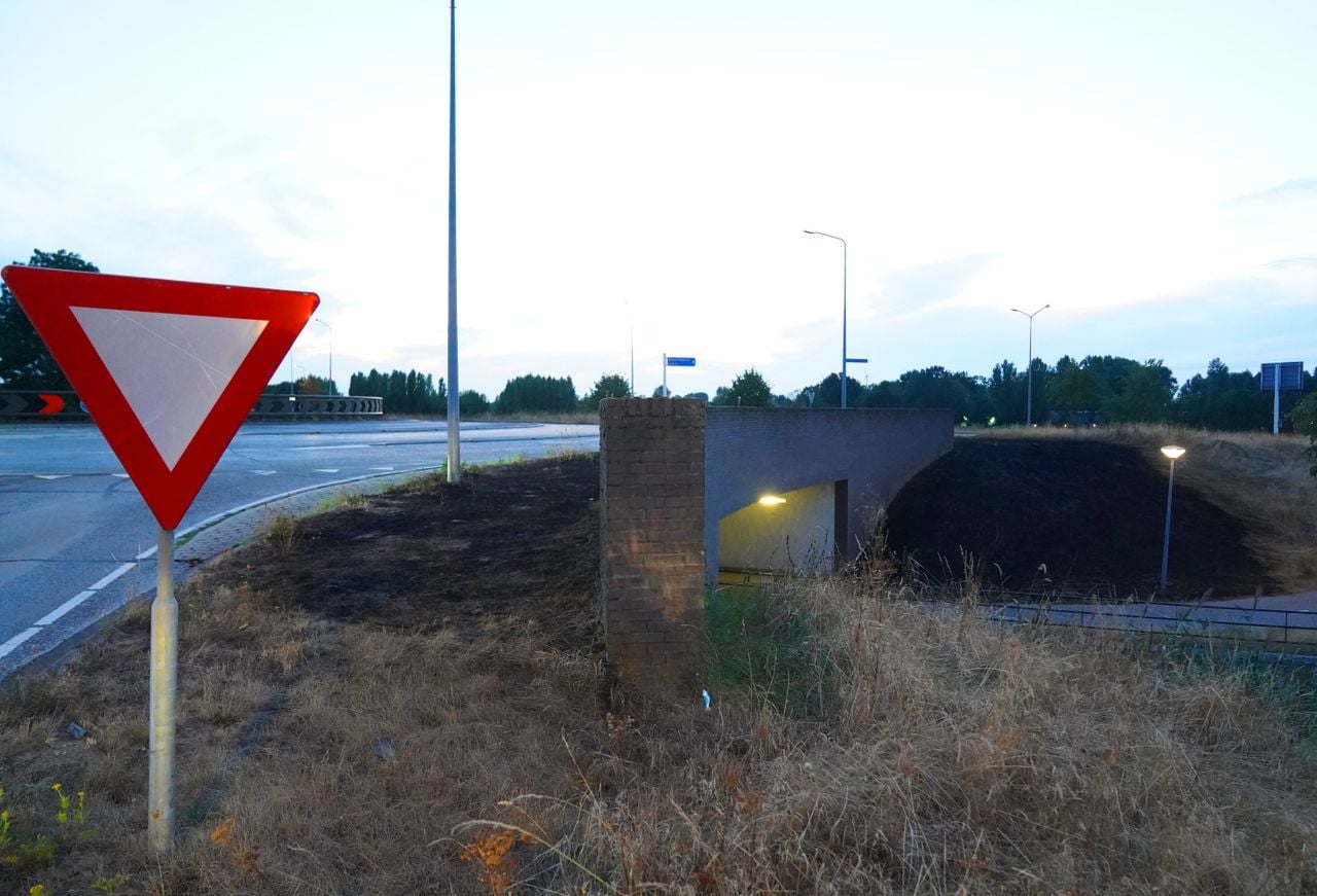 Foto: Bart Meesters/Persbureau Heitink.