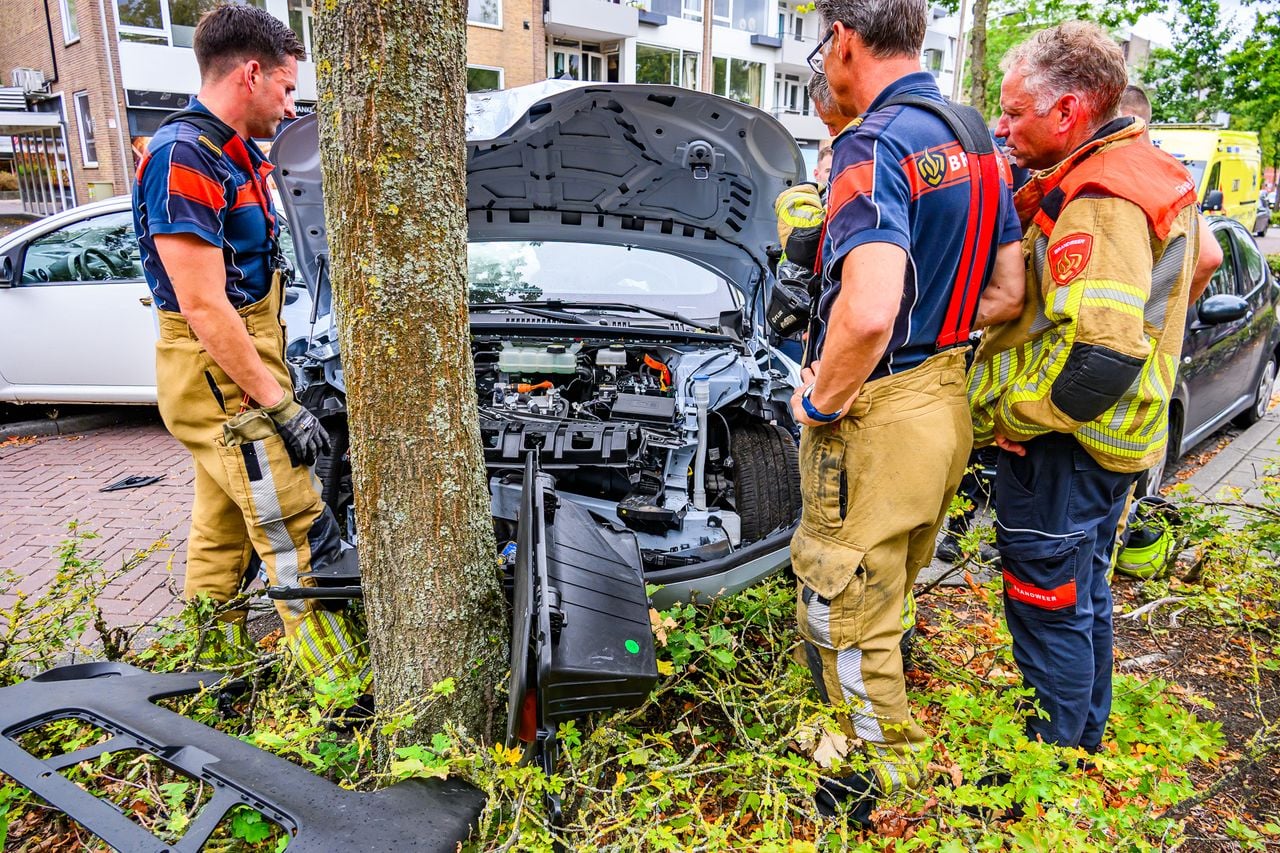 Ze kwam tegen de boom tot stilstand (foto: Tom van der Put / Persbureau Heitink).