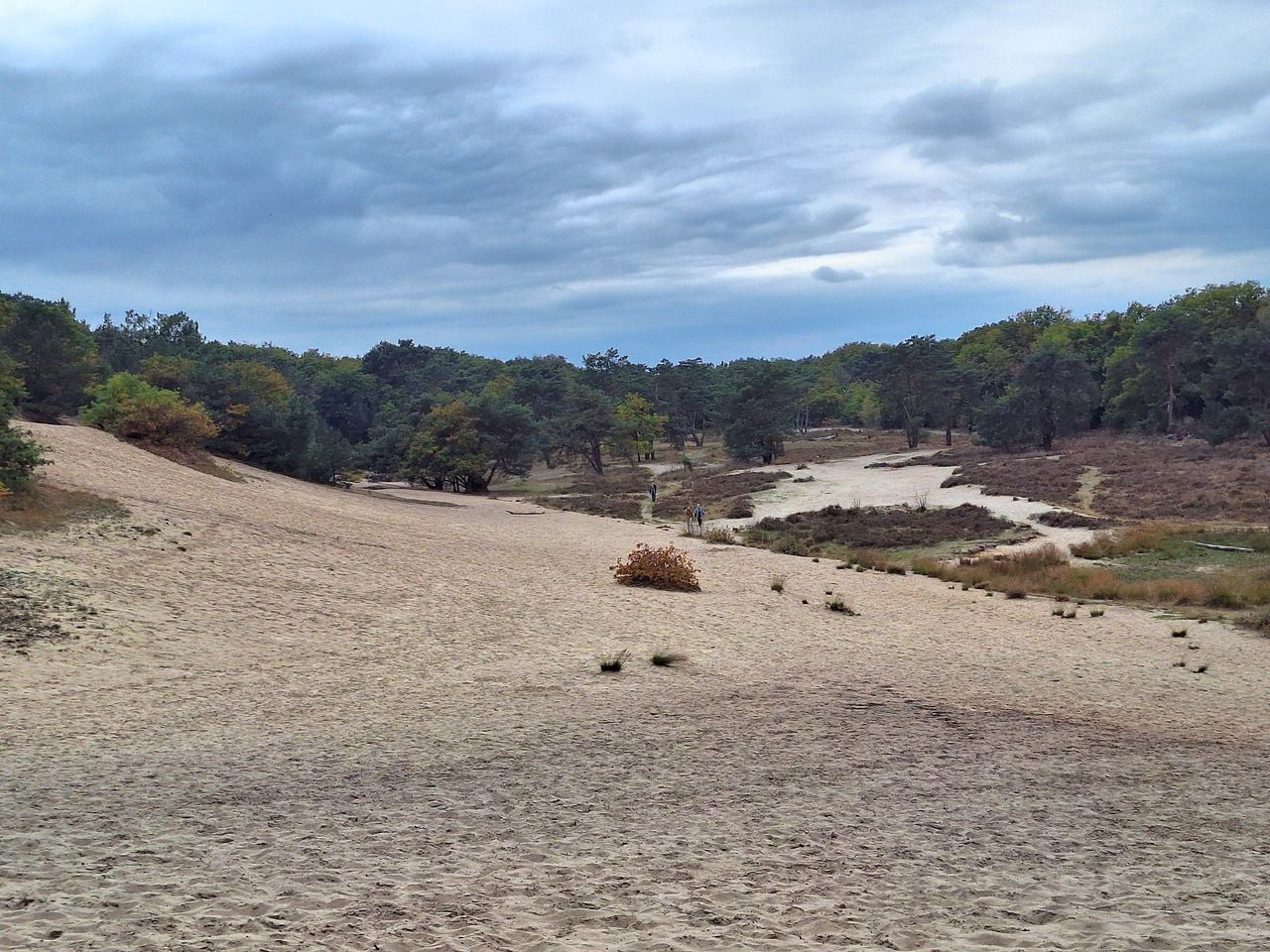 Langeafstandswandeling achter de bergen (foto: IVN Uden en omstreken).