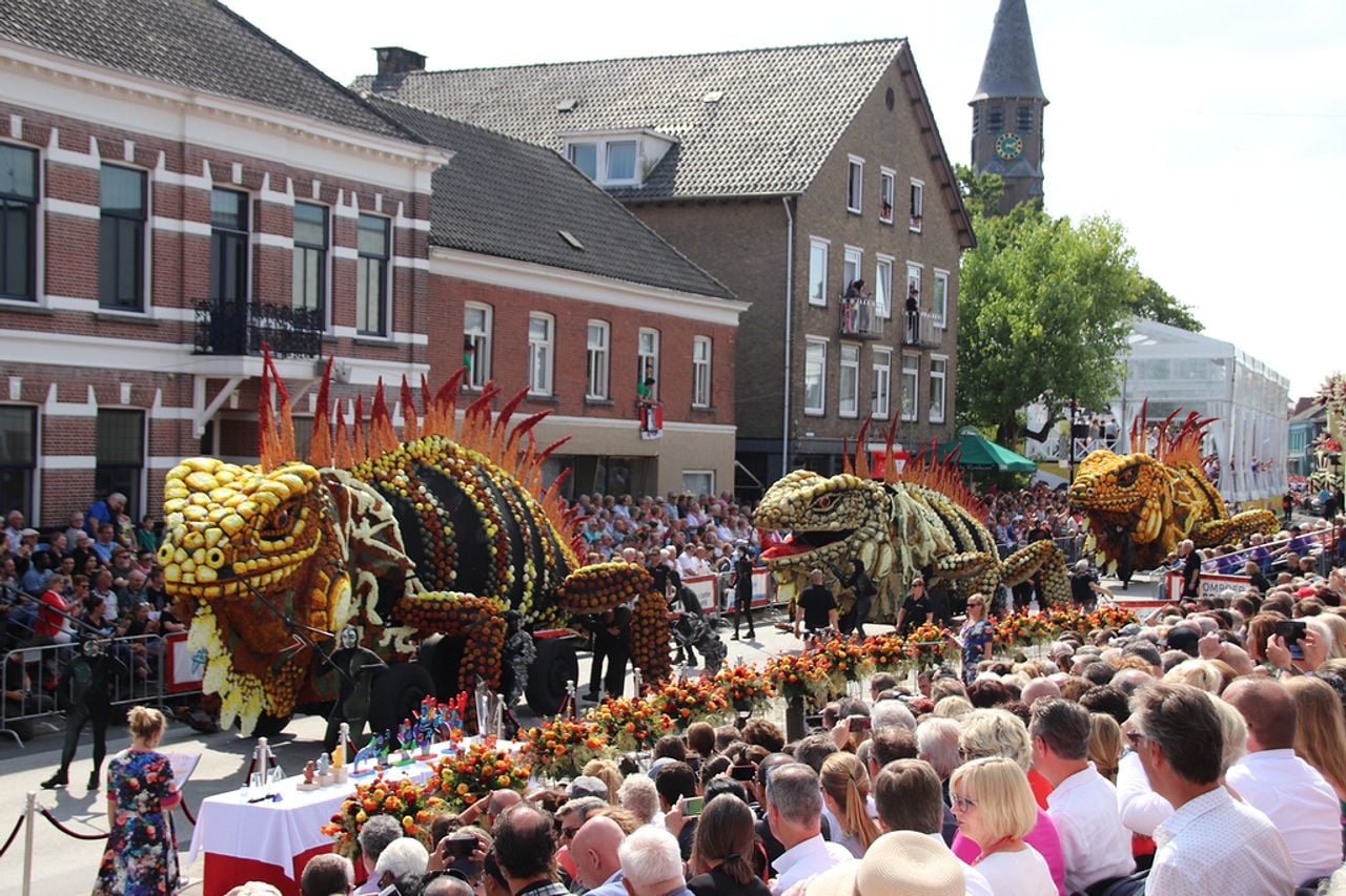 Iguana In(ter)action (Archief Corso Zundert).