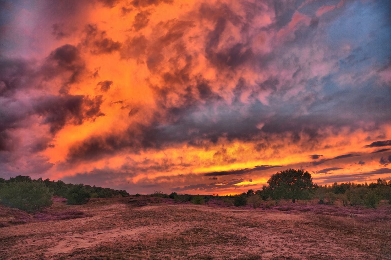 Boven de paarse heide in Leende (foto: Erik van Asten).
