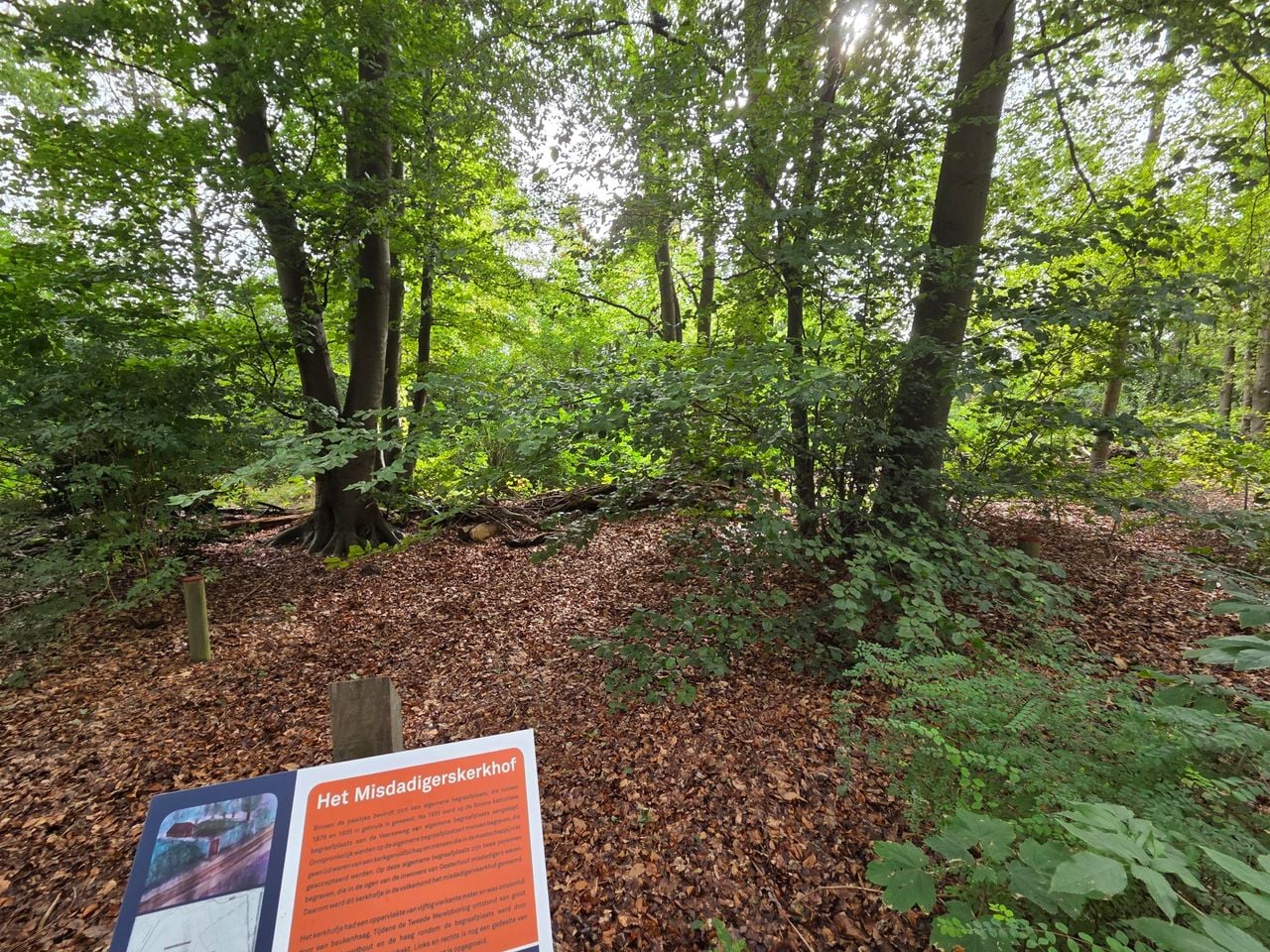Op deze plek lag tot 1934 de algemene begraafplaats, in de volksmond misdadigerskerkhof geheten, in Oosterhout (foto: Henk van Ingen/Omroep Brabant)
