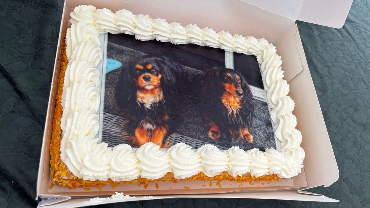 De bruidstaart van Kareltje en Saartje (foto: Toine Zuykerbuyk) 