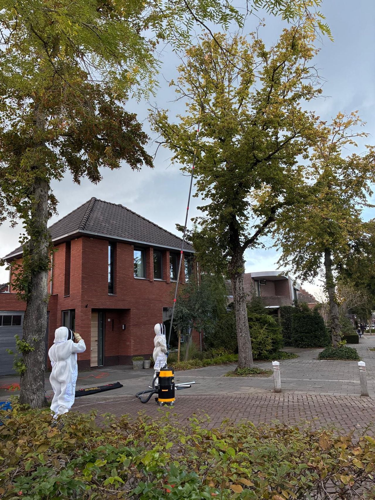 Het nest is direct weggehaald en vernietigd (foto: gemeente Vught).