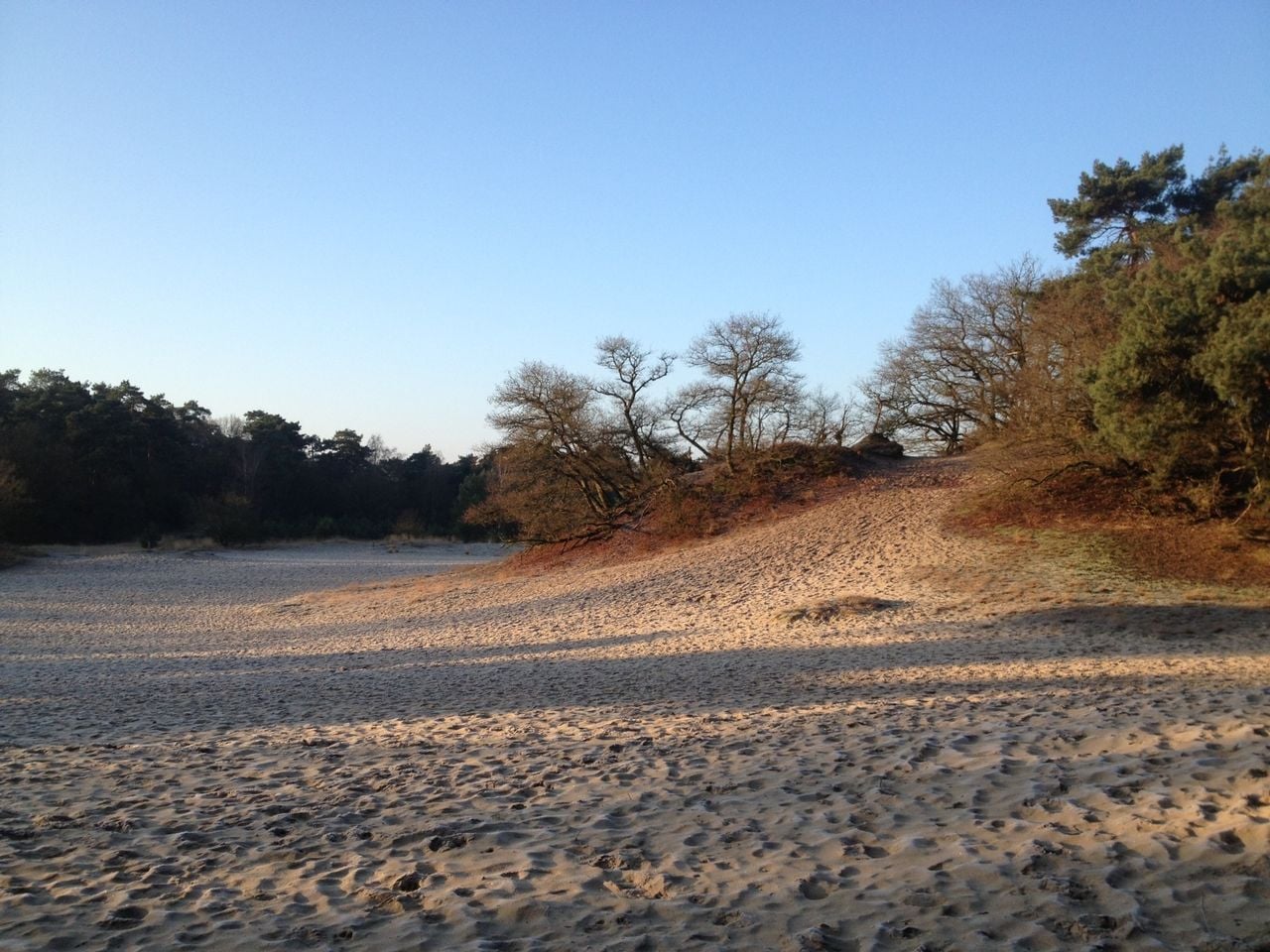 Loonse en Drunense duinen (foto: Frans Kapteijns).