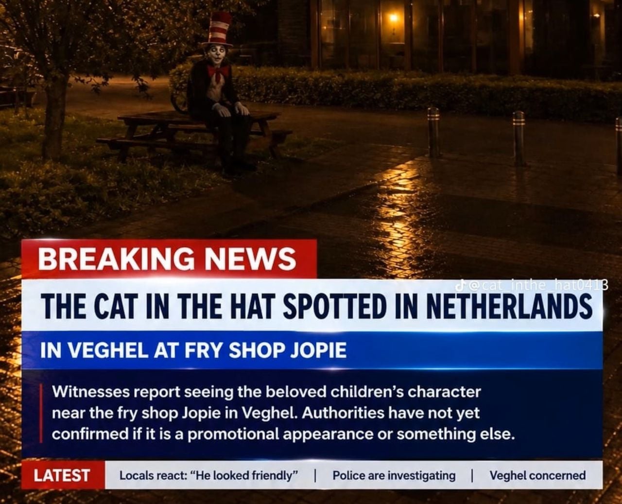 Een screenshot van de AI-video, 'Cat in the Hat' zit voor een snackbar in Veghel (foto: TikTok).