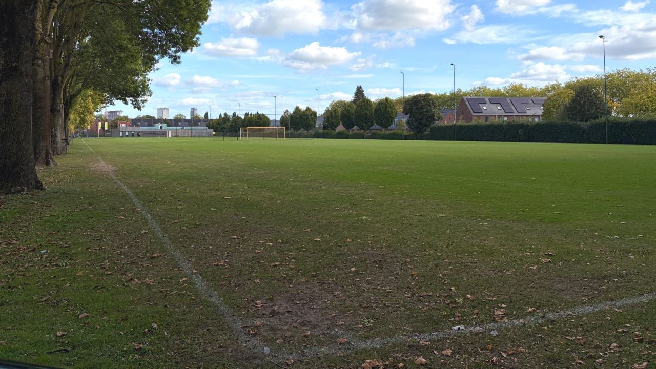 De takken hangen meters boven het veld (foto: Rogier van Son).