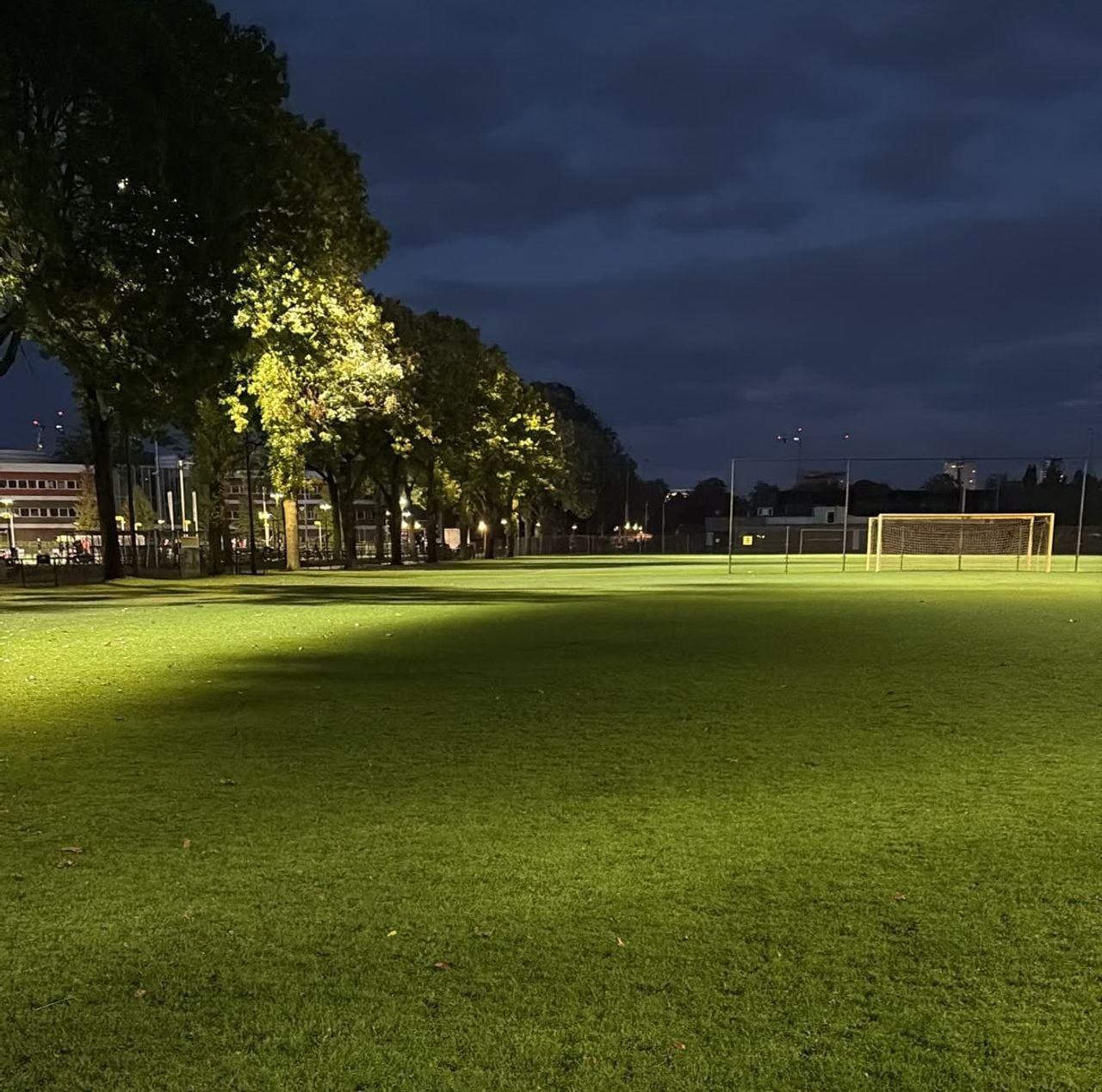 De schaduw op het veld (foto: Peter Kruizinga).
