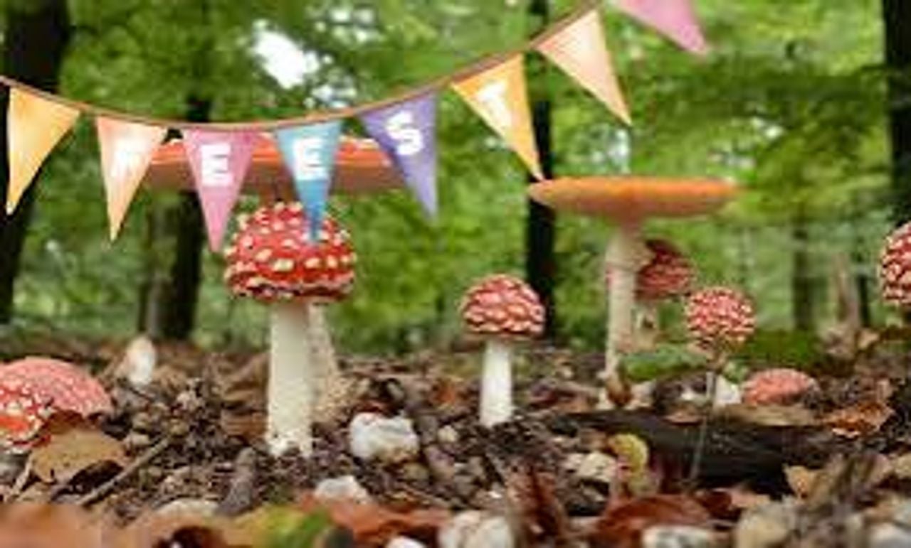 Zondag 11 oktober jubileumfeest Huis ter Heide (foto: Natuurmonumenten).