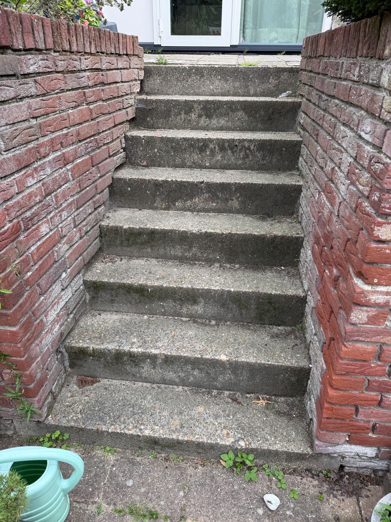 Egel kruipt deze trap op (foto: Frank Molenaar).