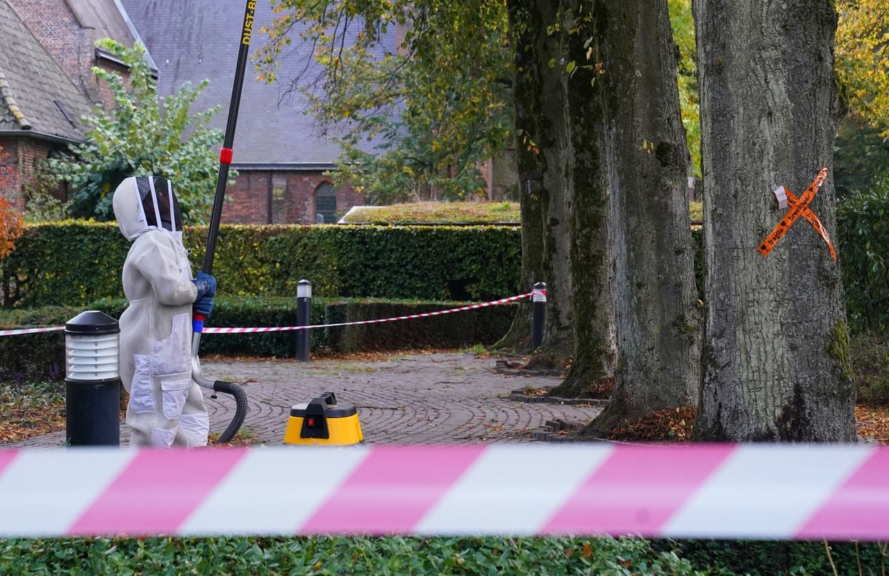Foto: Bart Meesters / Persbureau Heitink.