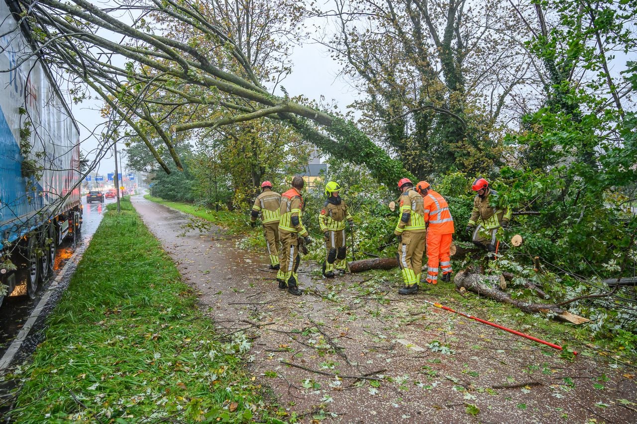De brandweer heeft de takken in stukken gezaagd (foto: Tom van der Put / Persbureau Heitink).