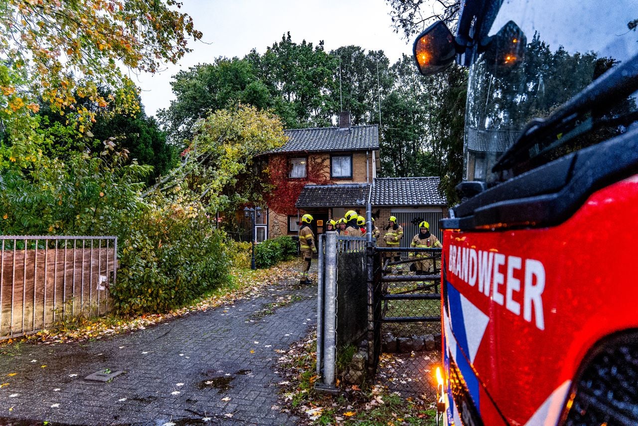 De brandweer ging niet over tot actie (foto: Lucas Lammers / Persbureau Heitink).