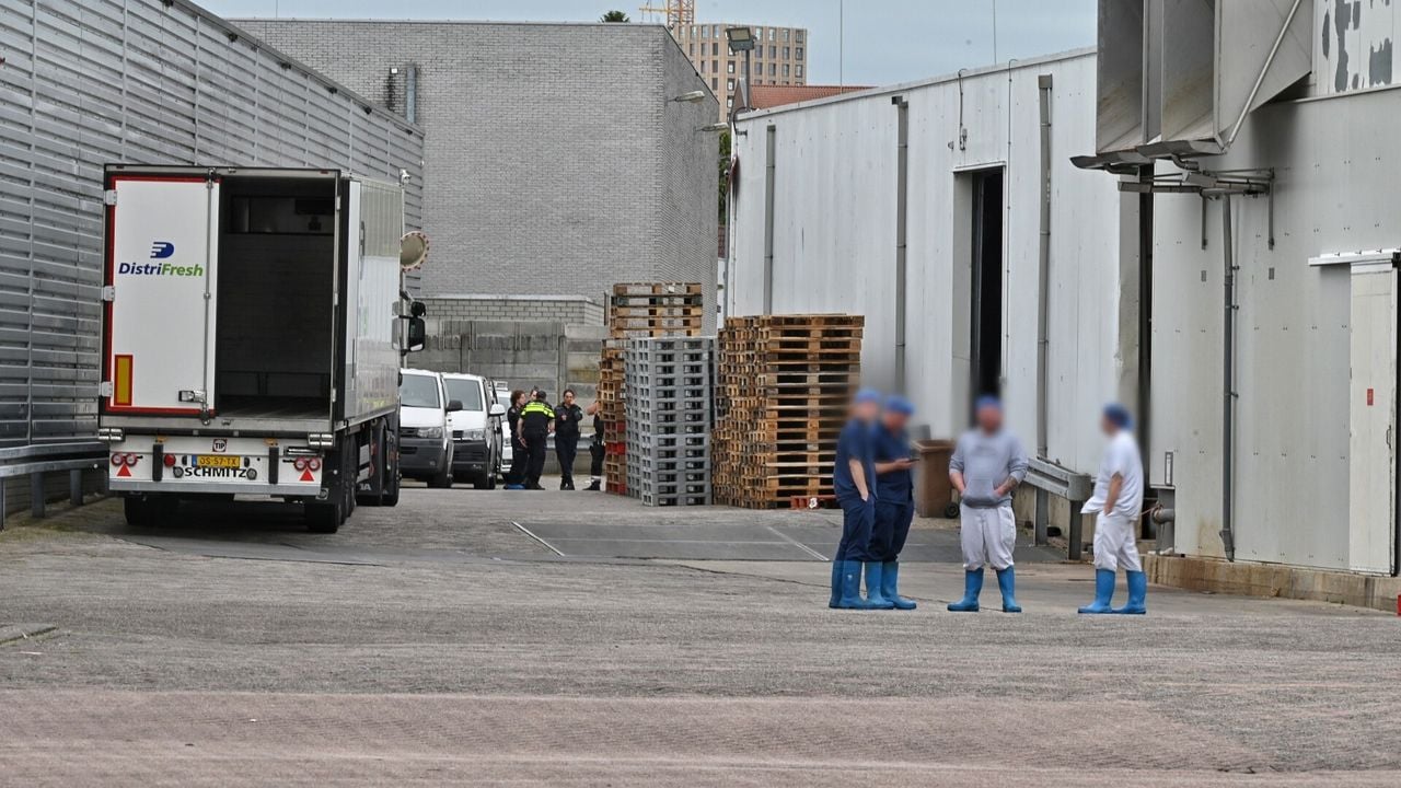 Slachterij Vion in Tilburg (foto: Toby de Kort - SQ Vision).