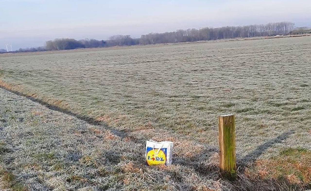 In deze plastic zak werden de konijnen achtergelaten (Foto: Opvangcentrum de Maashorst).