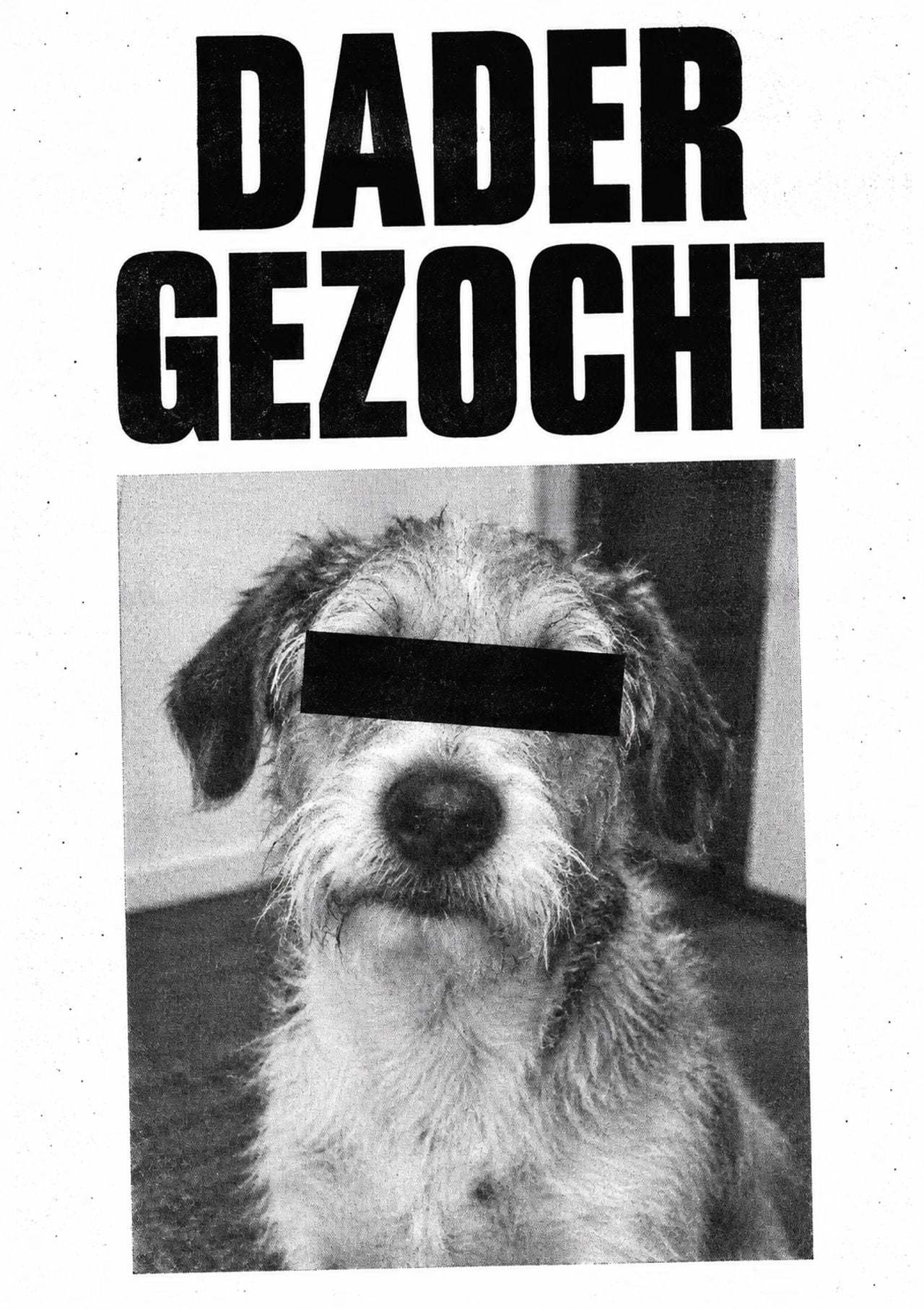 Een poster van 'de dader' (foto: Fama Volat).