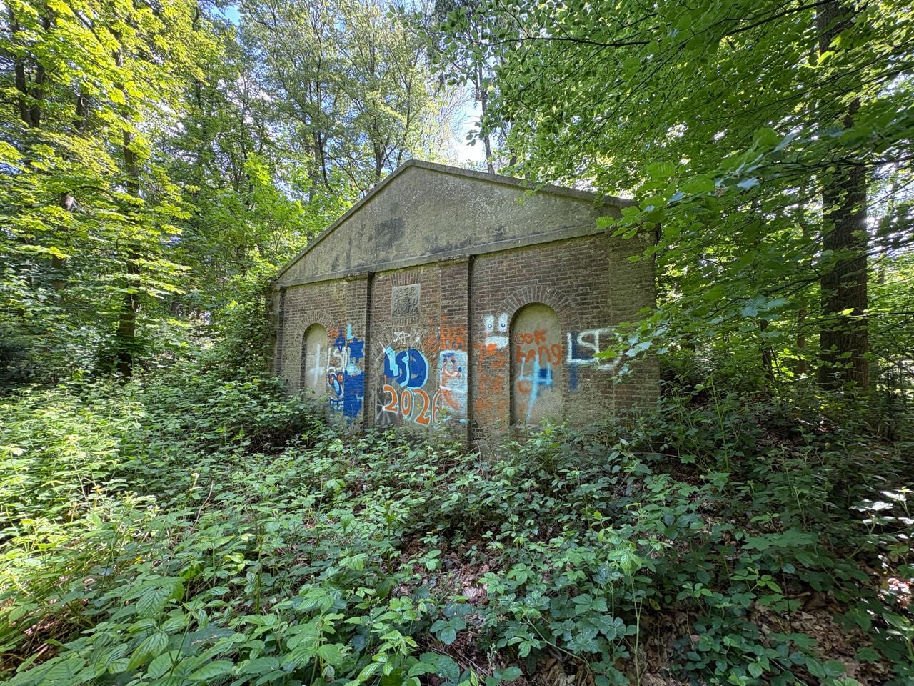 Grafkelder in het bos