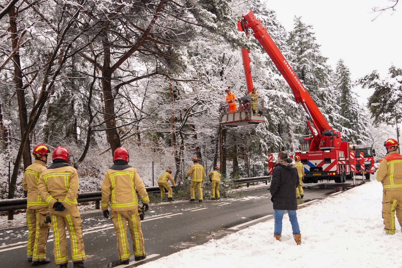 Vanwege de afgebroken tak in Lieshout werd de brandweer opgeroepen (foto: Harrie Grijseels/Persbureau Heitink). 