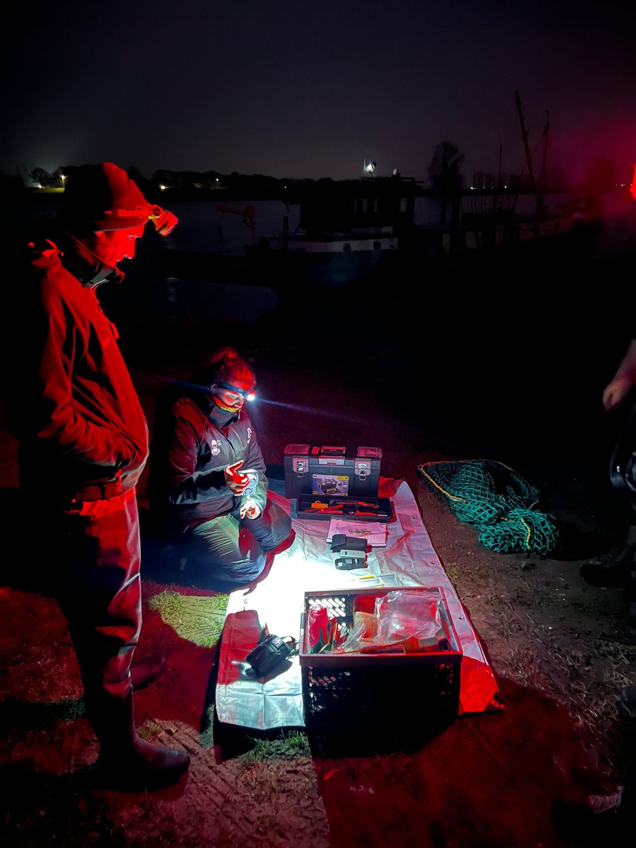De bevers worden in de nacht gezenderd (foto: Waterschap Aa en Maas).