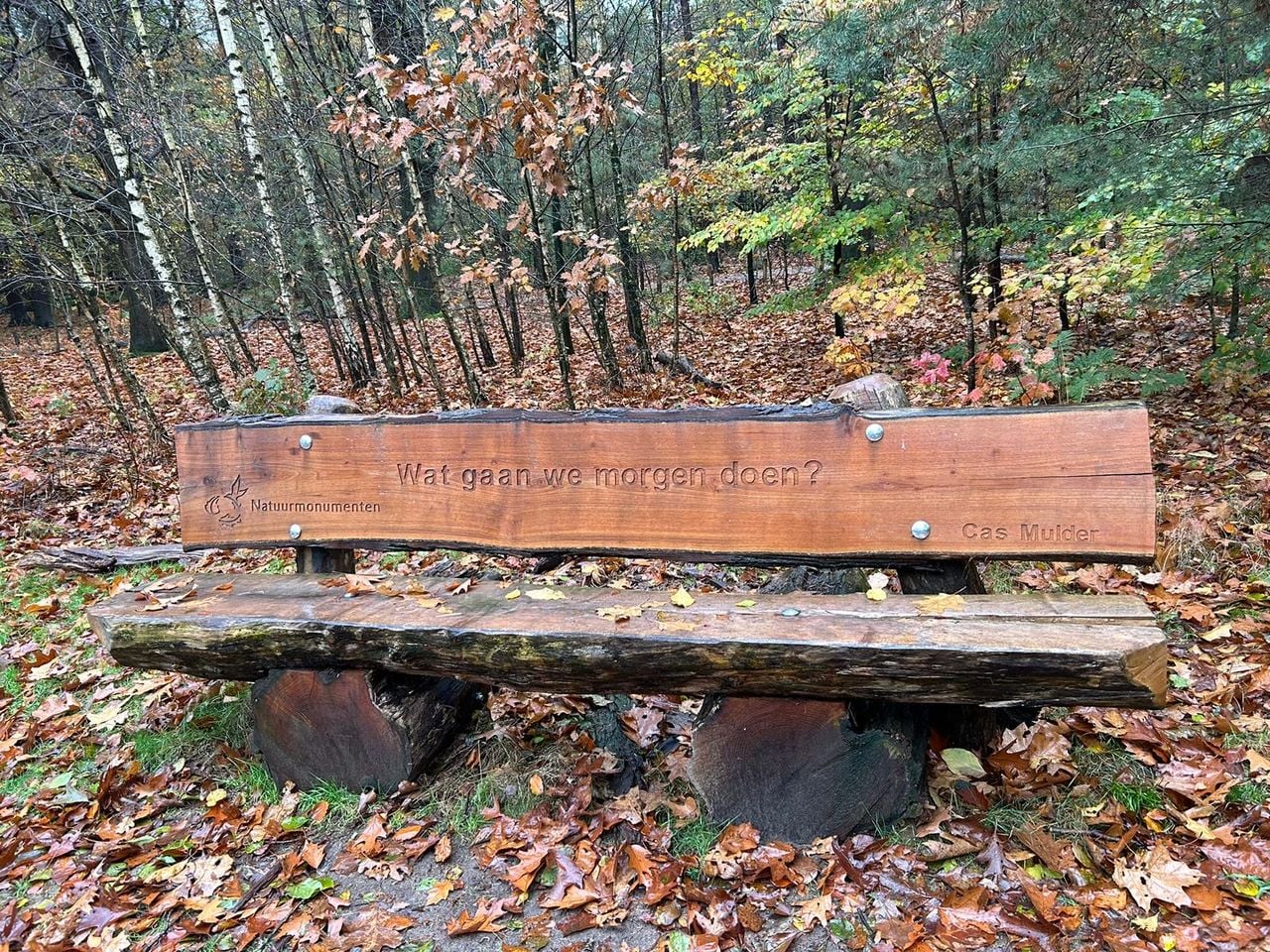 Het bankje ter nagedachtenis aan Cas.