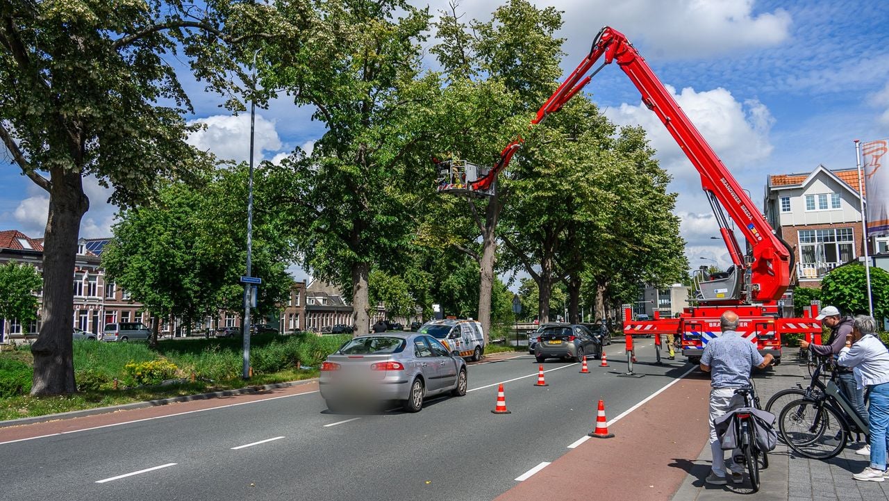Foto: Tom van der Put/Persbureau Heitink