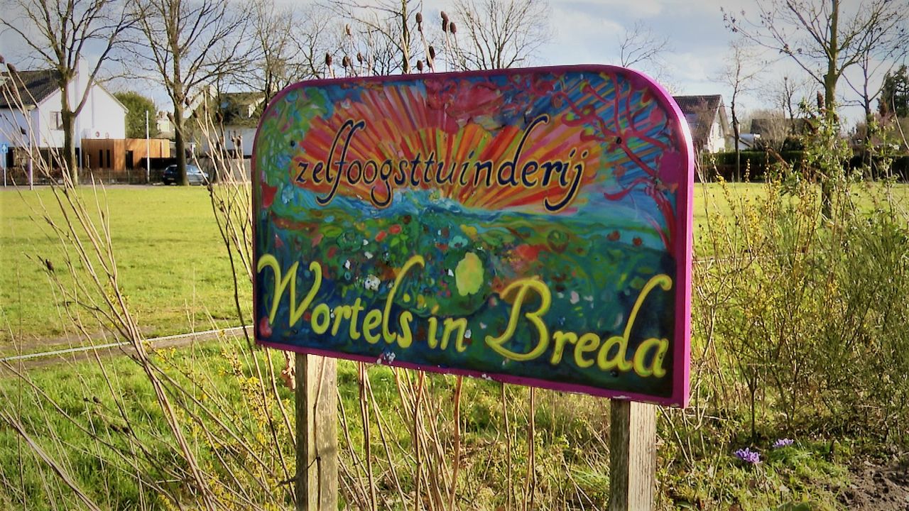 De sociale tuinderij in Ulvenhout. (foto: Raoul Cartens)