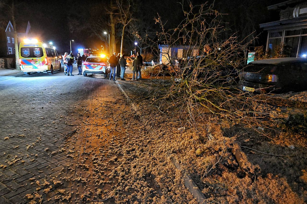 Foto: Toby de Kort/persbureau Heitink