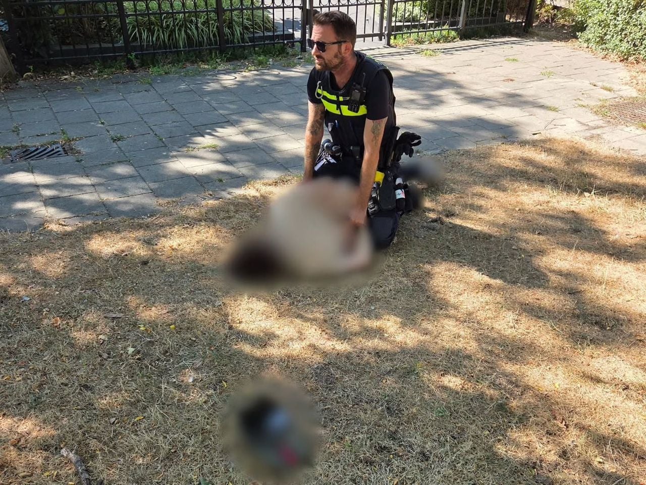 De verdachte kon na een achtervolging te voet worden aangehouden (foto: politie Helmond).