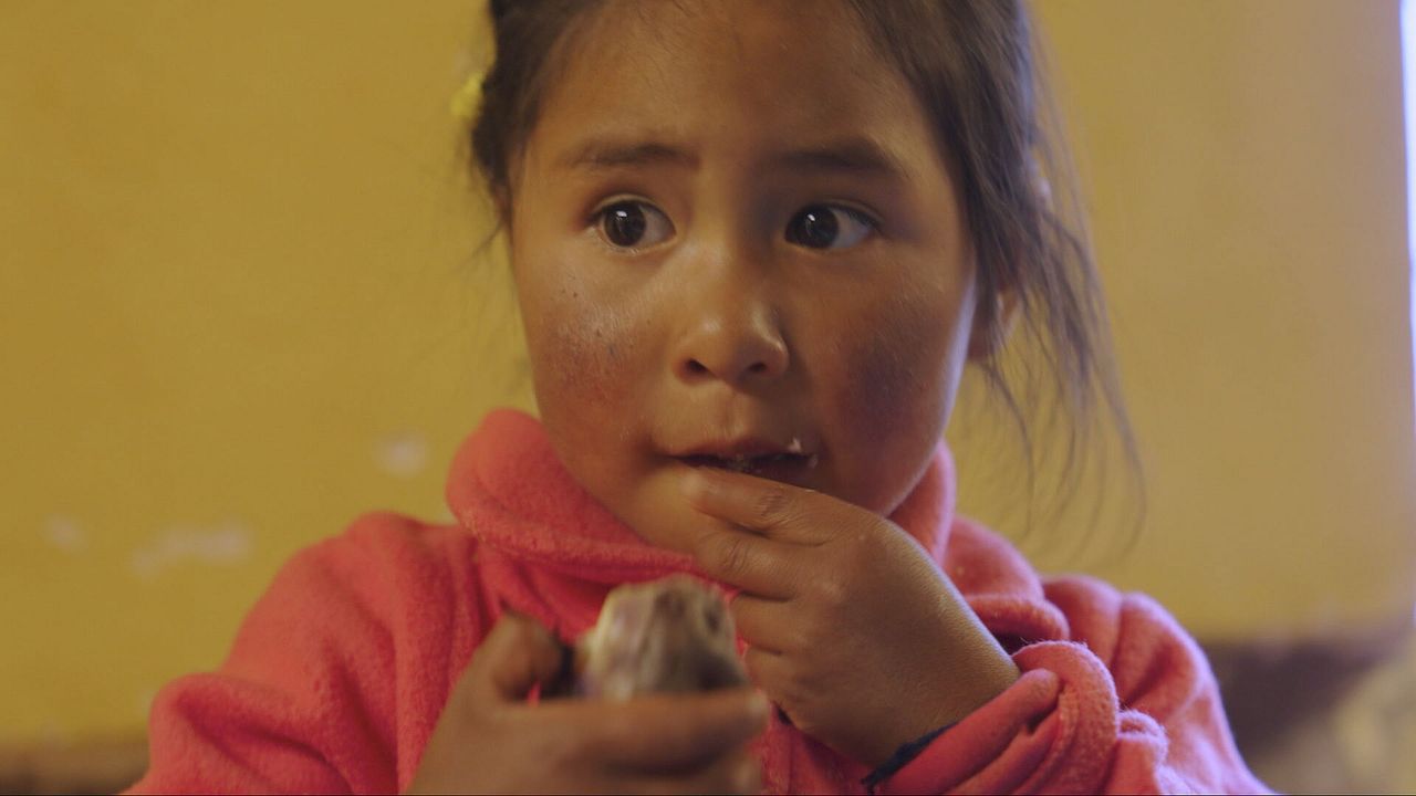 Beeld: Vergezocht/Omroep Brabant