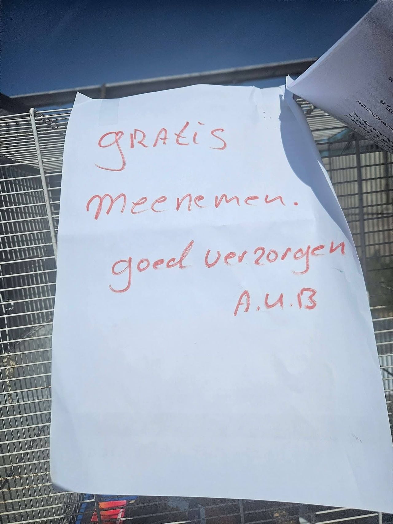 Foto: Dierenambulance Maasland/Facebook.