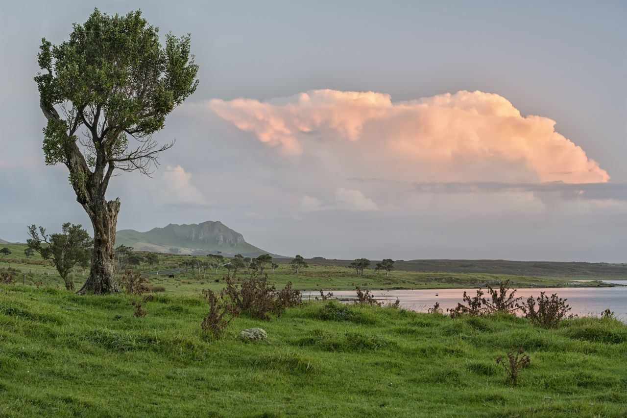 Chatham Island (foto: ANP/Holger Spiering).