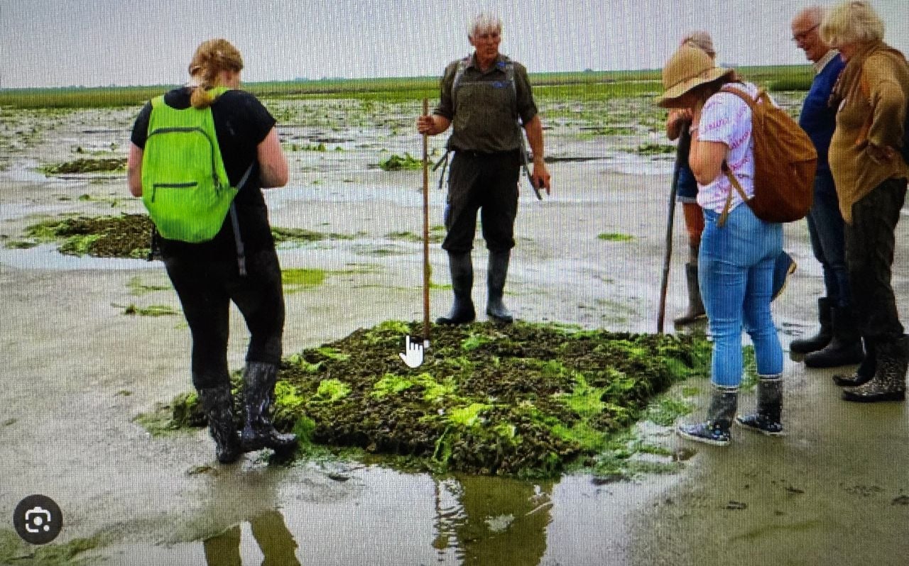 Een avontuurlijke natuurtocht door het Verdronken Land van Zuid-Beveland (foto: Natuurmonumenten).