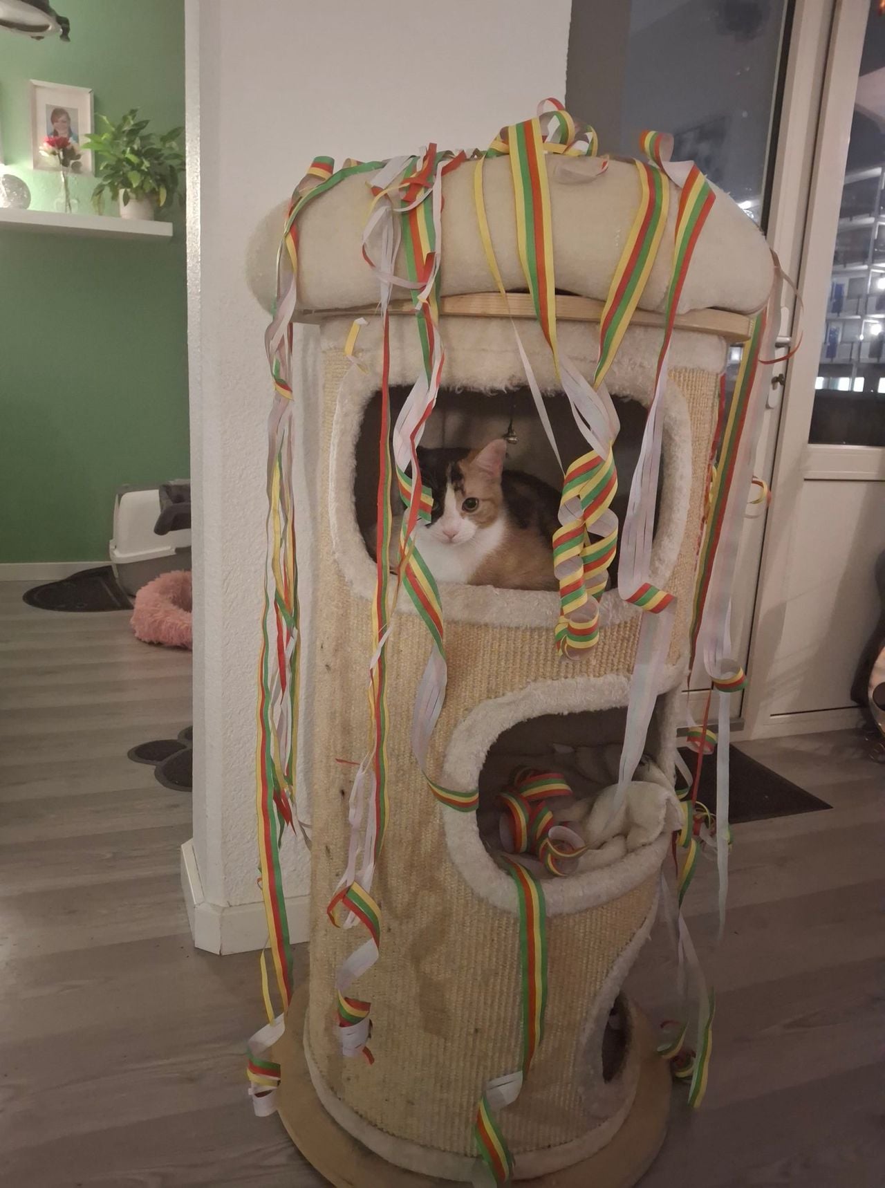 Foto: Wilma Donkelaar/Facebook