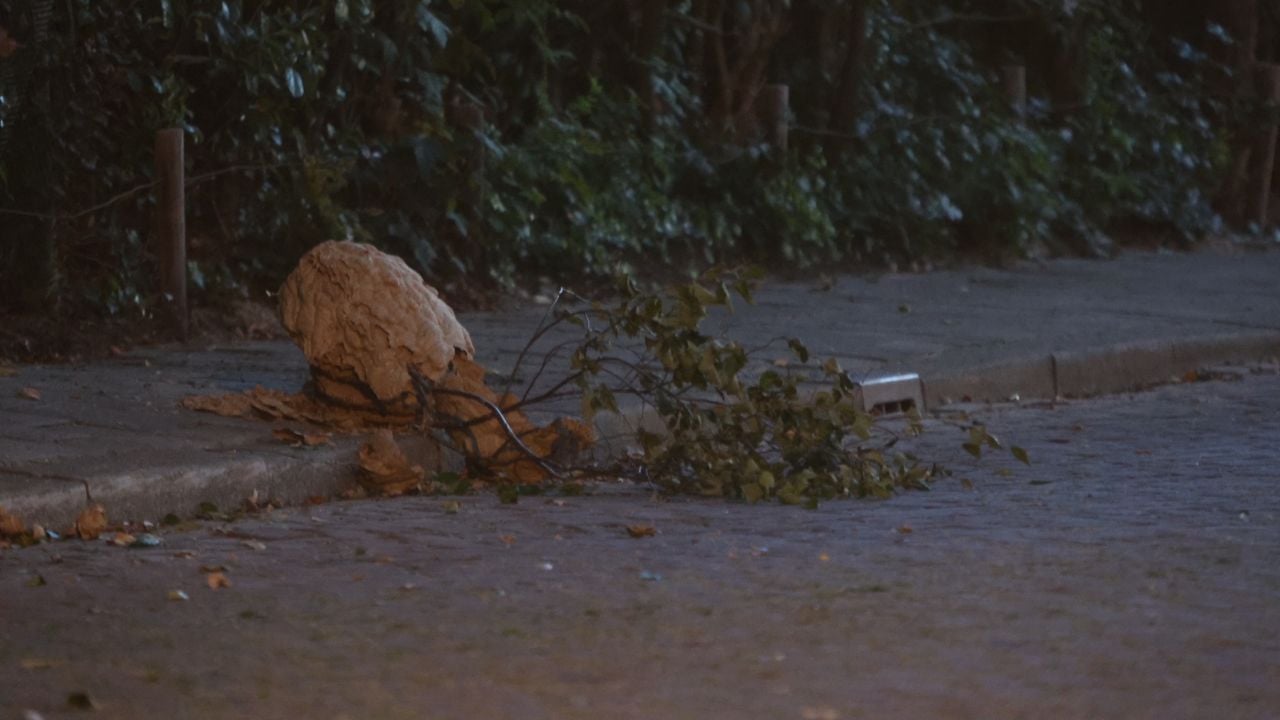 Foto: Bart Meesters / Persbureau Heitink