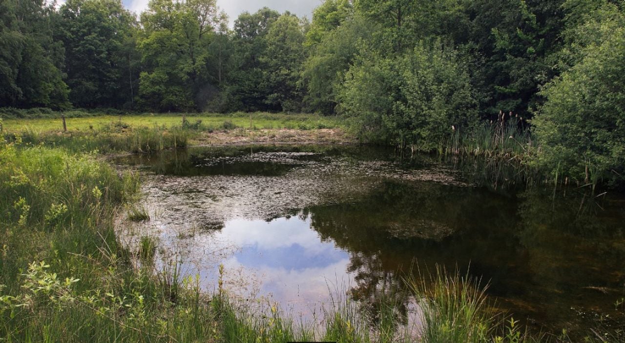 Natuurgebied Zevenhutten (foto: Brabants Landschap).