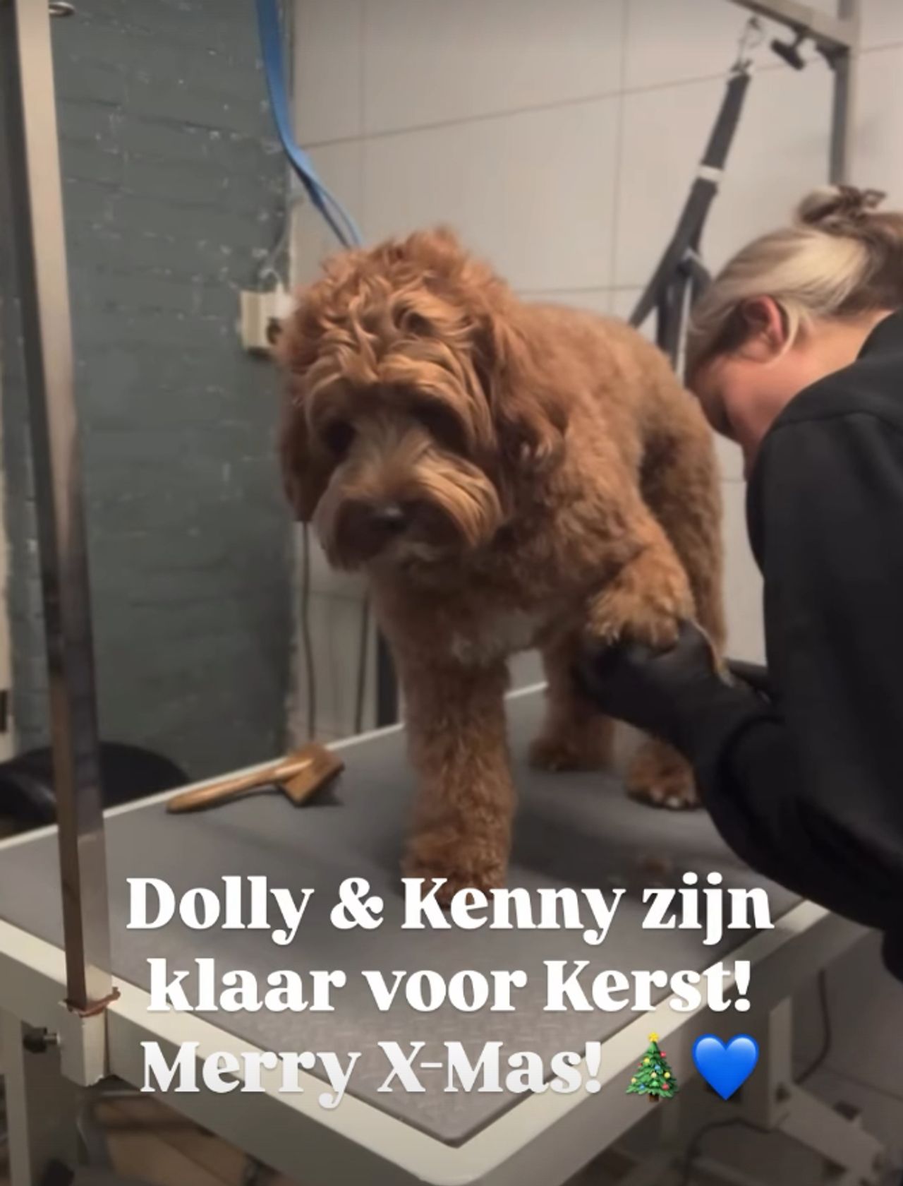 foto: Instagram/guus.meeuwis.